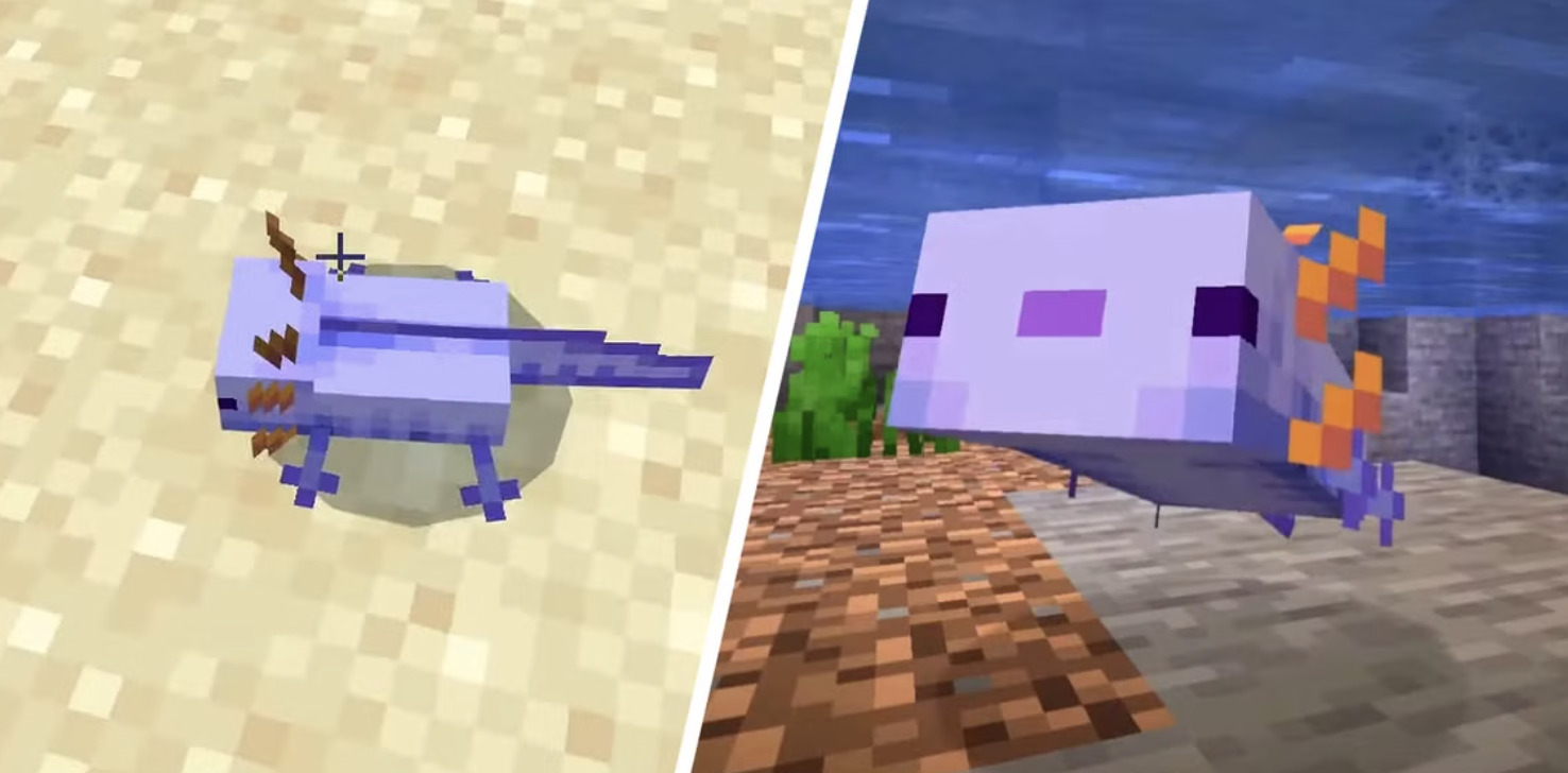 How to Get a Blue Axolotl in Minecraft: The Ultimate Guide