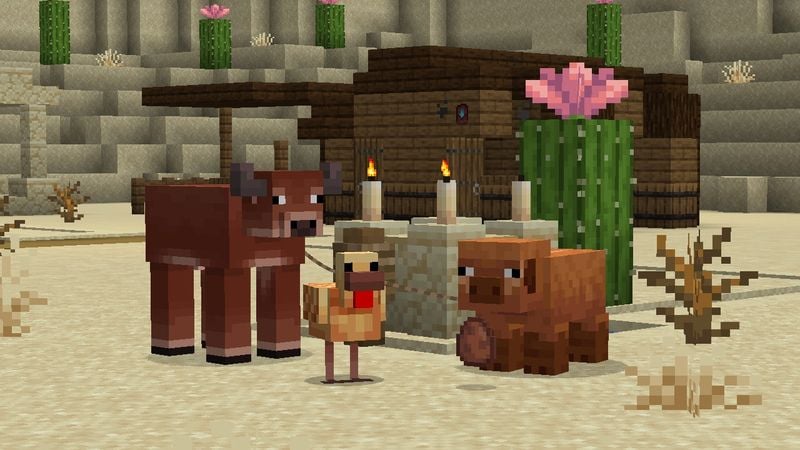 Minecraft Spring To Life Update: Full Breakdown Of The 1.21.5 Release