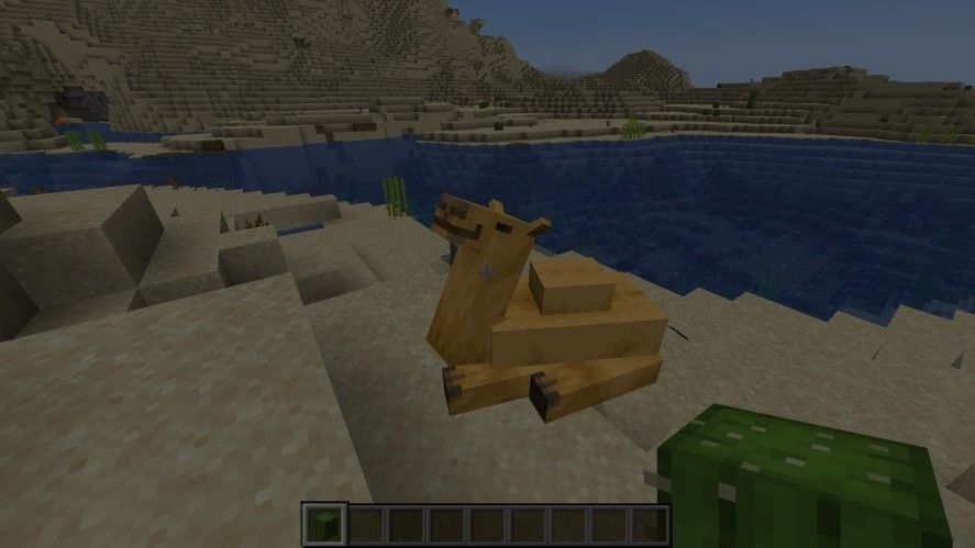 What Do Camels Eat In Minecraft
